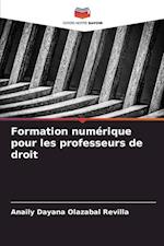 Formation numérique pour les professeurs de droit