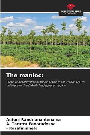 The manioc: