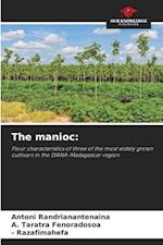 The manioc: