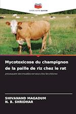 Mycotoxicose du champignon de la paille de riz chez le rat