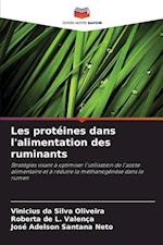 Les protéines dans l'alimentation des ruminants