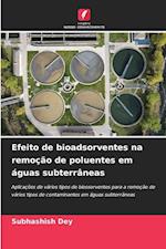 Efeito de bioadsorventes na remoção de poluentes em águas subterrâneas