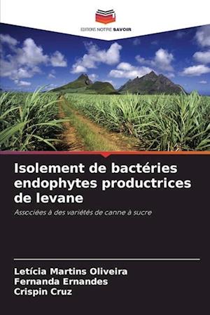 Isolement de bactéries endophytes productrices de levane