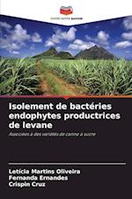 Isolement de bactéries endophytes productrices de levane