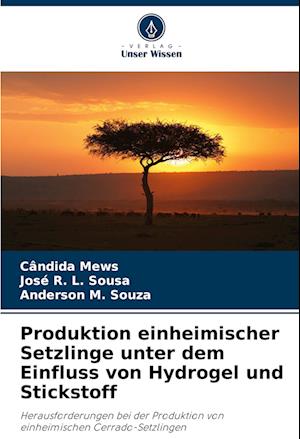 Produktion einheimischer Setzlinge unter dem Einfluss von Hydrogel und Stickstoff