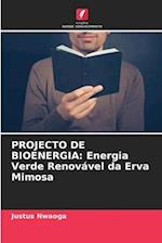 PROJECTO DE BIOENERGIA: Energia Verde Renovável da Erva Mimosa