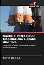 Ugello di razzo RBCC: Modellazione e analisi dinamica