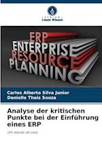 Analyse der kritischen Punkte bei der Einführung eines ERP