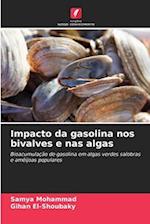 Impacto da gasolina nos bivalves e nas algas