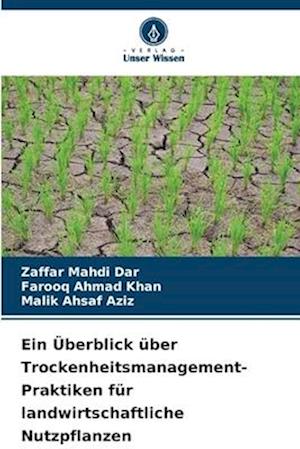 Ein Überblick über Trockenheitsmanagement-Praktiken für landwirtschaftliche Nutzpflanzen