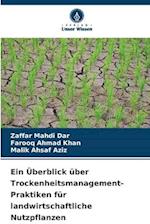 Ein Überblick über Trockenheitsmanagement-Praktiken für landwirtschaftliche Nutzpflanzen