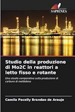 Studio della produzione di Mo2C in reattori a letto fisso e rotante