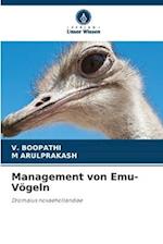 Management von Emu-Vögeln