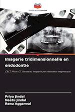 Imagerie tridimensionnelle en endodontie