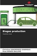 Biogas production