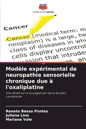 Modèle expérimental de neuropathie sensorielle chronique due à l'oxaliplatine