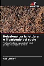 Relazione tra la lettiera e il carbonio del suolo