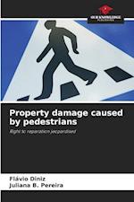 Property damage caused by pedestrians