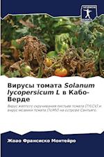 Virusy tomata Solanum lycopersicum L w Kabo-Verde