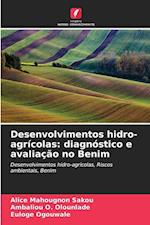 Desenvolvimentos hidro-agrícolas: diagnóstico e avaliação no Benim