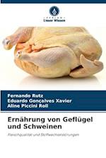 Ernährung von Geflügel und Schweinen