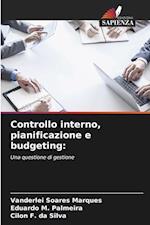 Controllo interno, pianificazione e budgeting: