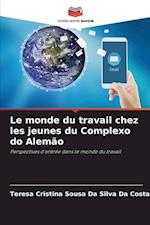 Le monde du travail chez les jeunes du Complexo do Alemão