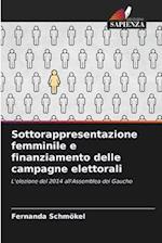 Sottorappresentazione femminile e finanziamento delle campagne elettorali