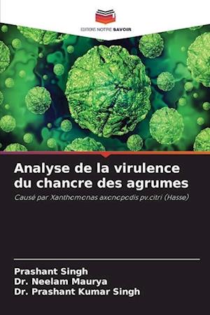 Analyse de la virulence du chancre des agrumes