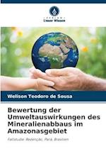 Bewertung der Umweltauswirkungen des Mineralienabbaus im Amazonasgebiet