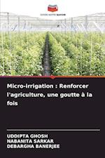 Micro-irrigation : Renforcer l'agriculture, une goutte à la fois