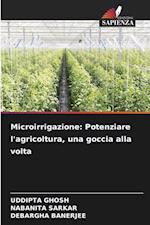 Microirrigazione: Potenziare l'agricoltura, una goccia alla volta