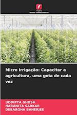 Micro Irrigação: Capacitar a agricultura, uma gota de cada vez