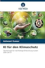 KI für den Klimaschutz