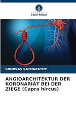 ANGIOARCHITEKTUR DER KORONARIÄT BEI DER ZIEGE (Capra hircus)