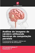 Análise de imagens do cérebro utilizando técnicas de computação paralela