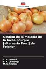 Gestion de la maladie de la tache pourpre [alternaria Porri] de l'oignon