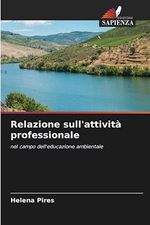 Relazione sull'attività professionale