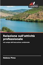 Relazione sull'attività professionale