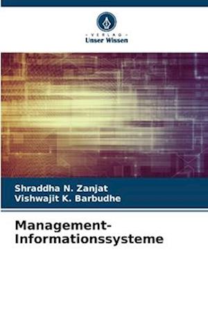 Management-Informationssysteme