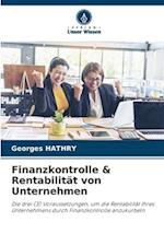 Finanzkontrolle & Rentabilität von Unternehmen