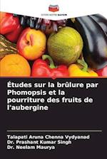 Études sur la brûlure par Phomopsis et la pourriture des fruits de l'aubergine