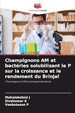 Champignons AM et bactéries solubilisant le P sur la croissance et le rendement du Brinjal