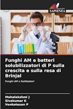 Funghi AM e batteri solubilizzatori di P sulla crescita e sulla resa di Brinjal