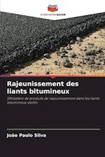 Rajeunissement des liants bitumineux