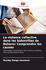 La violence collective dans les bidonvilles de Bukavu: Comprendre les causes