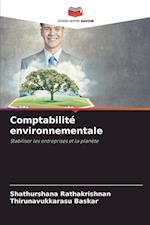 Comptabilité environnementale