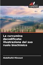 La curcumina decodificata: illustrazione del suo ruolo biochimico