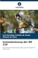 Instandsetzung der BR 319