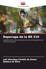 Repavage de la BR 319